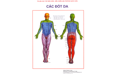 CÁC ĐỐT DA