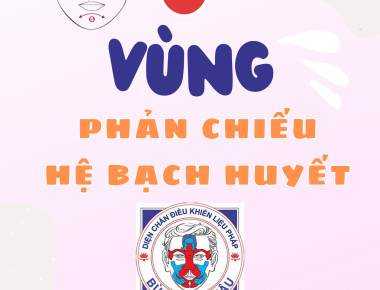 6 VÙNG PHẢN CHIẾU HỆ BẠCH HUYẾT