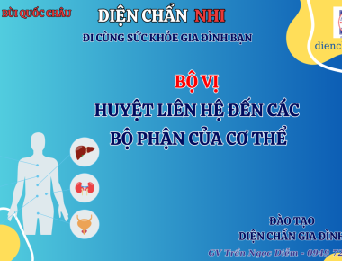 BỘ VỊ DIỆN CHẨN